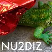 NU2DIZの画像