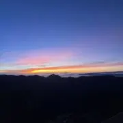 ユーカリの画像