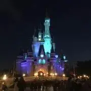 Dの画像