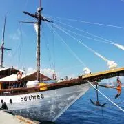 ダイバーの画像