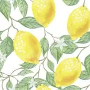 Lemonの画像