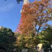 しろねの画像