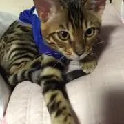 ジタン❤️の画像