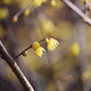 Nの画像