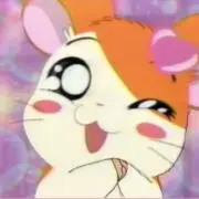 ぷたの画像