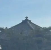 @川島の画像