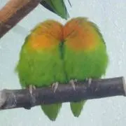 まさまさまさ