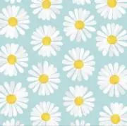 ❁︎Lino.の画像