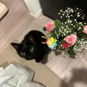 みずちきちきち