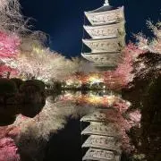 sokiの画像