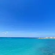 Mの画像