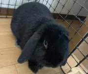 ゆうーこ