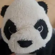 パパんだ