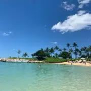 S★Jの画像