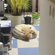 れお