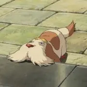soraの画像