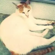 mnoの画像