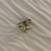 ゆっけチャンの画像