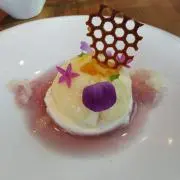 よっちゃんの画像