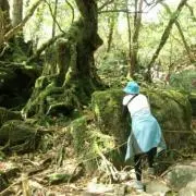 hanaの画像