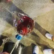 りんごあめの画像