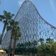 とまとの画像
