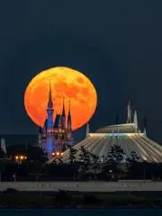 きらの画像