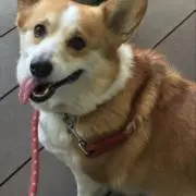 SHOPひろひとの画像