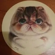 くるみの画像