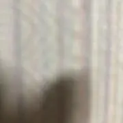 よっとの画像