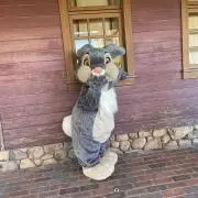 すがの画像