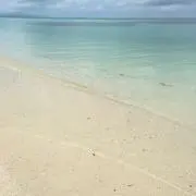 ささりんごの画像