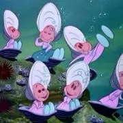 もちこの画像