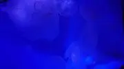 アサリの佃煮の画像