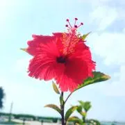 プロフィールご確認ください☺︎の画像