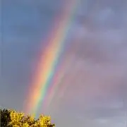 ぶんたの画像