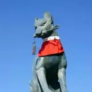 カーキン