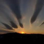 抹茶