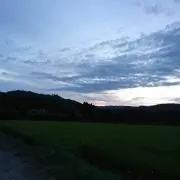 こるとん^ ^の画像