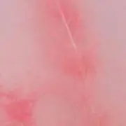 sの画像