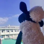 Kの画像