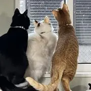 まっつん 値下げ交渉OKの画像
