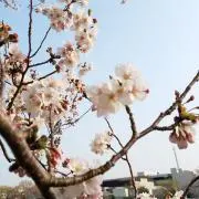 ももこ【プロフ必ず一読下さい】の画像