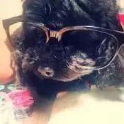 Reinaの画像