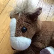 とらはちの画像