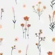 kakoの画像