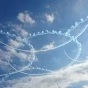 きなぼうの画像