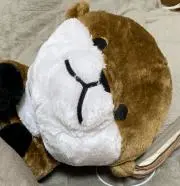 ウソちゃんの画像
