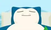 冬眠の画像