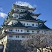 さくらの画像